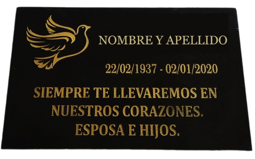 Placa Caballo