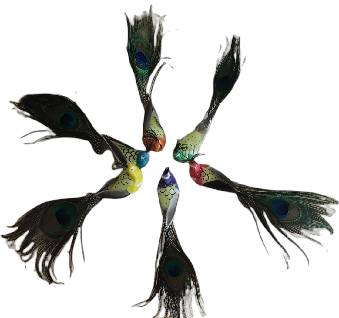 Pavo Real